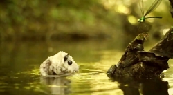 خیلی خیلی کوچک (2) (هیولای باتلاق طلسم شده)